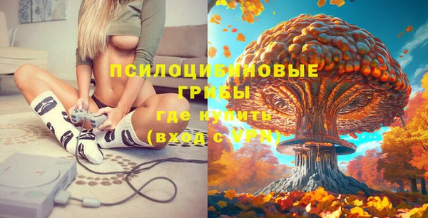 PSILOCYBIN Апатиты