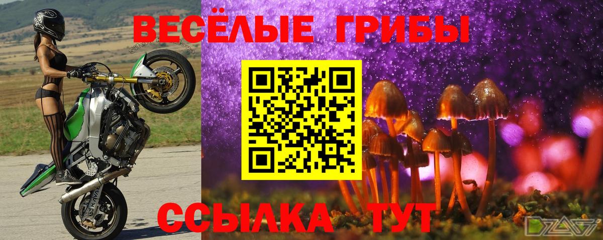 Галлюциногенные грибы прущие грибы  Псилоцибиновые грибы Psilocybine cubensis  Балахна 