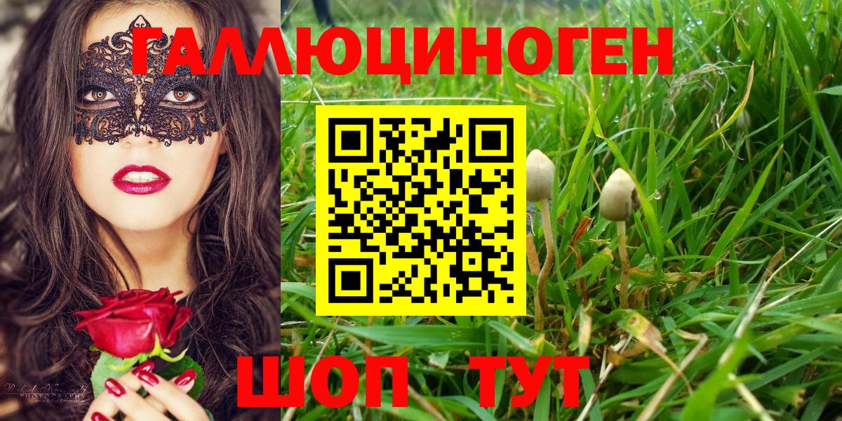закладки  Галлюциногенные грибы прущие грибы  Вход с VPN  Балахна 